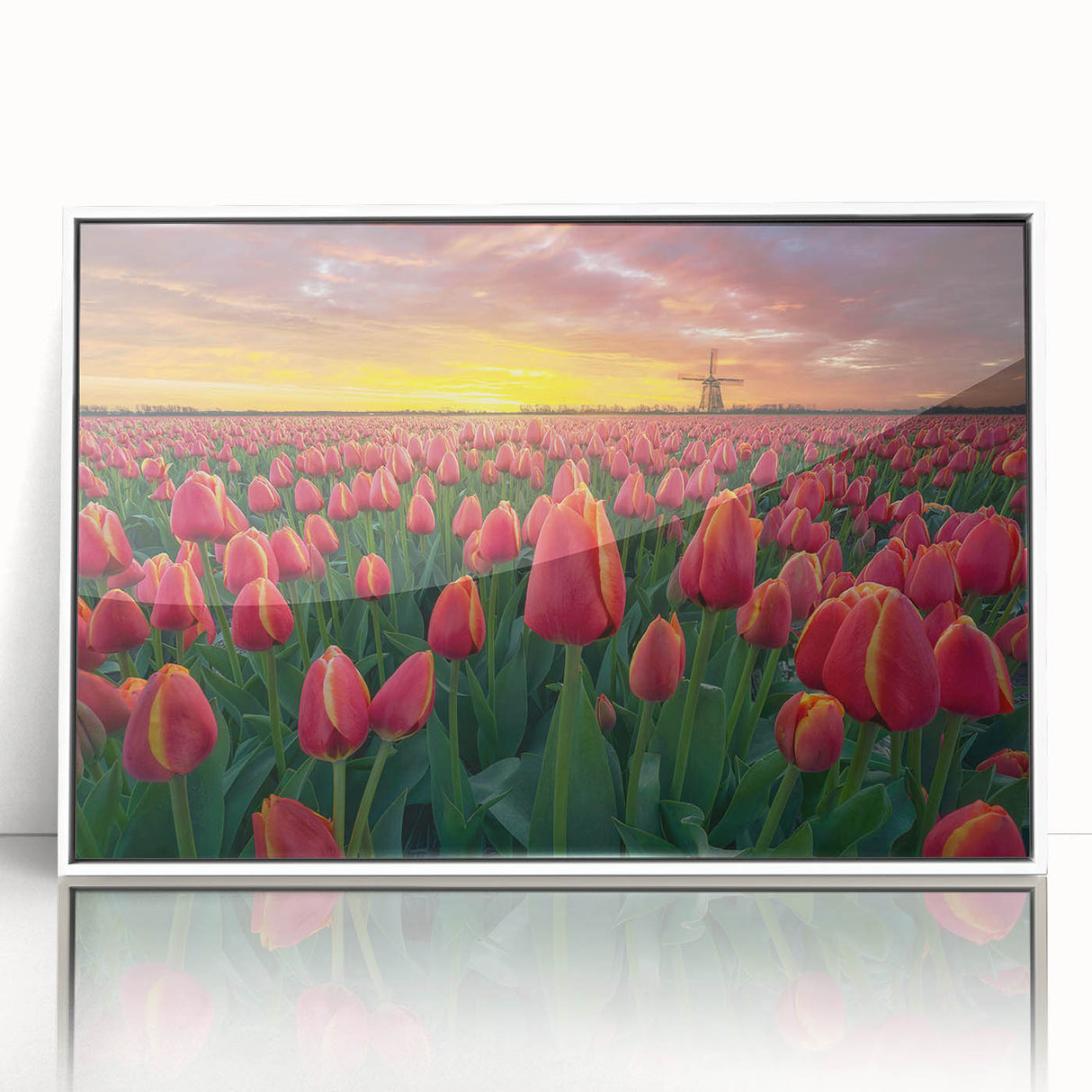 Framed wall art featuring a botanical tulip design in vibrant colors, displayed with a sleek white frame, ideal for modern home decor or floral enthusiasts.