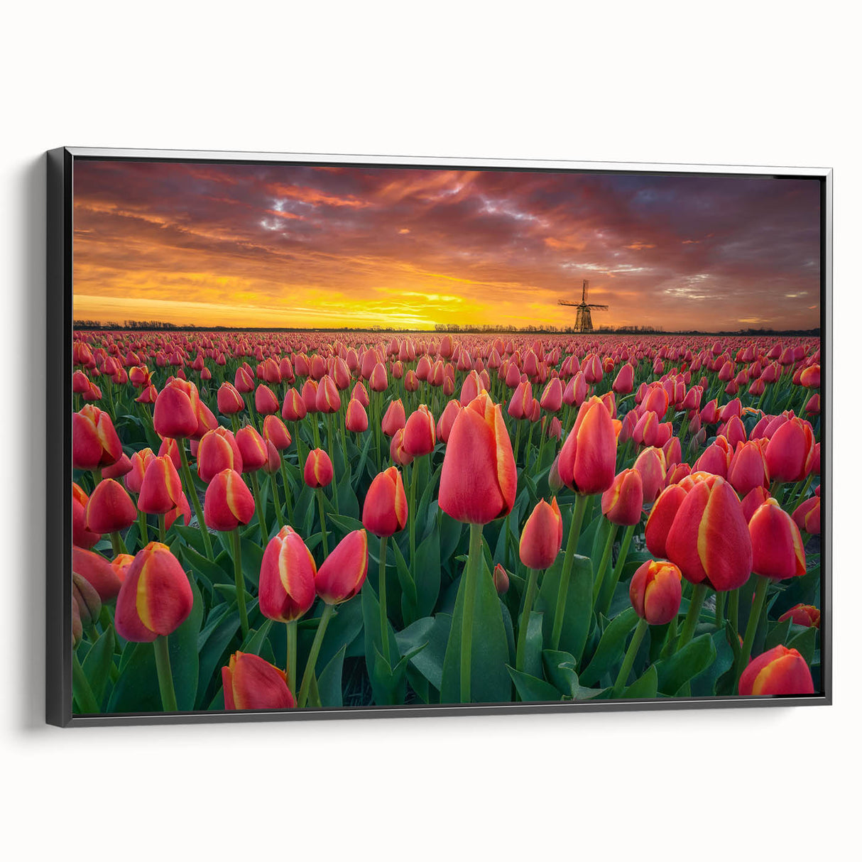 Framed botanical wall art featuring a vibrant tulip design on canvas, presented in a sleek black frame, showcasing its elegant side profile against a neutral backdrop.