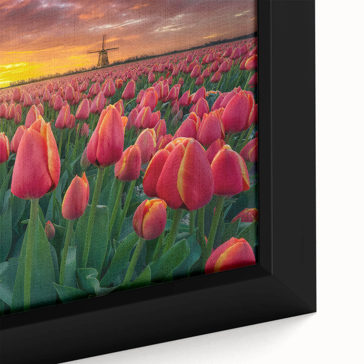 Close-up of a framed canvas wall art featuring a vibrant botanical tulip design, showcasing intricate details of the flowers in rich colors, perfect for home decor.