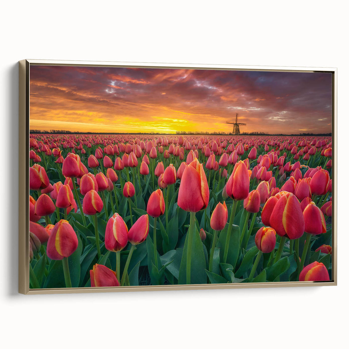 Framed canvas art showcasing a botanical tulip design in vibrant colors, elegantly presented with a gold frame, ideal for enhancing home decor aesthetics.