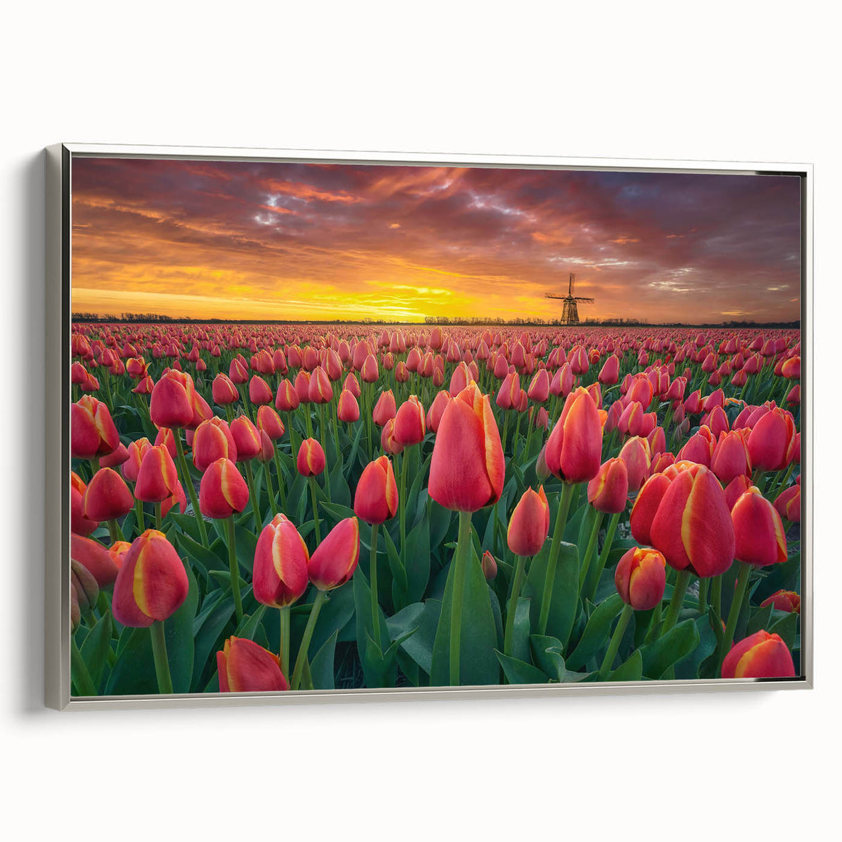 Framed canvas wall art featuring a botanical tulip design with vibrant colors, set in a sleek silver frame, perfect for home decor. Ideal for floral-themed interiors.