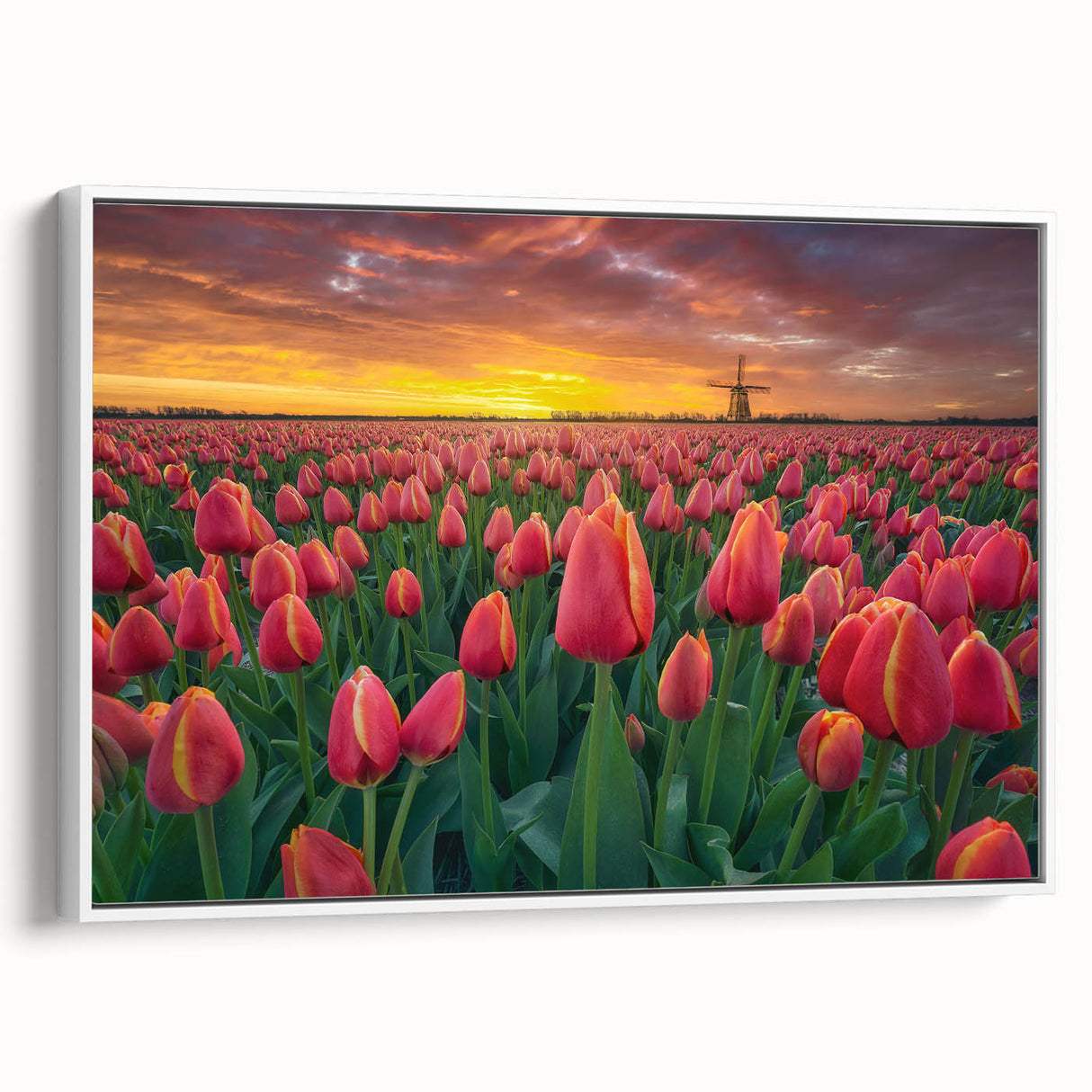 Framed botanical wall art showcasing a vibrant tulip design on canvas, set against a white background, perfect for home decor and floral enthusiasts.
