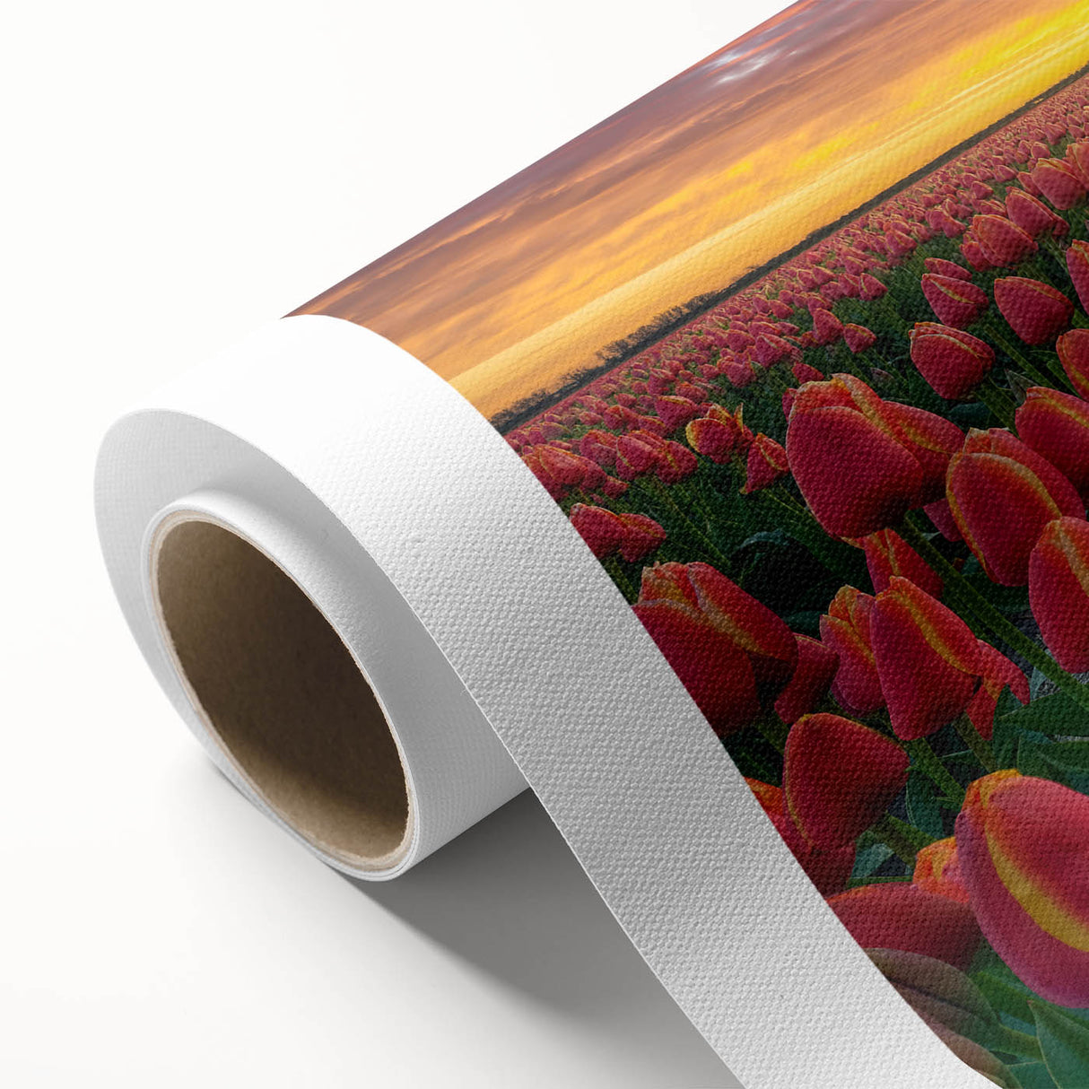 Botanical wall art showcasing a vibrant tulip design on rolled canvas, perfect for home decor. The colorful floral illustration adds elegance to any room.