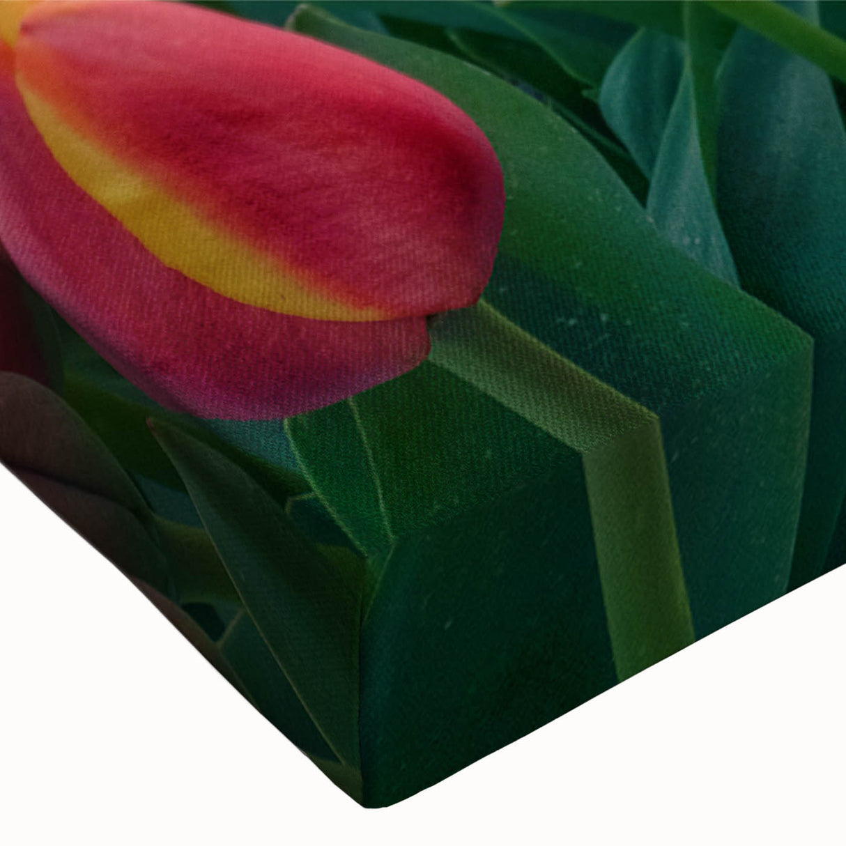 Close-up view of a vibrant botanical tulip wall art design on stretched canvas, showcasing intricate details and rich colors, perfect for home decor enhancement.