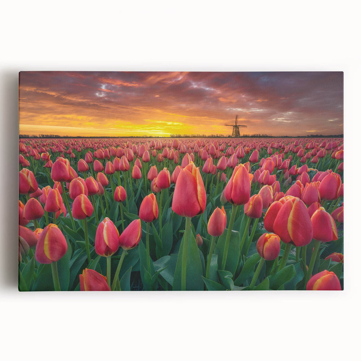 Stretched canvas wall art showcasing a vibrant botanical tulip design, featuring rich colors and intricate details, perfect for enhancing home decor with a floral touch.