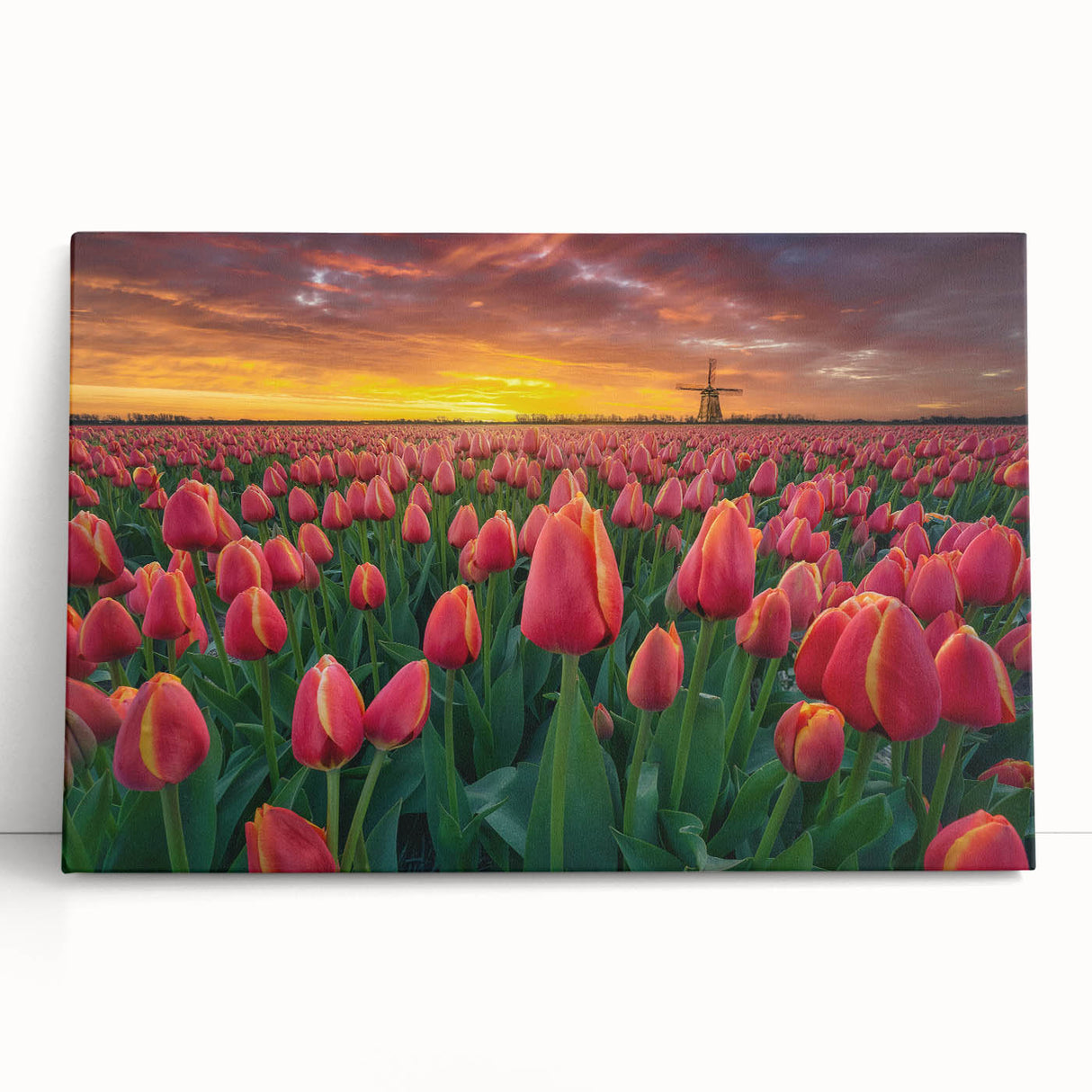 Vibrant botanical tulip wall art canvas featuring a colorful floral design, elegantly stretched, and leaning against a neutral backdrop, perfect for home decor.
