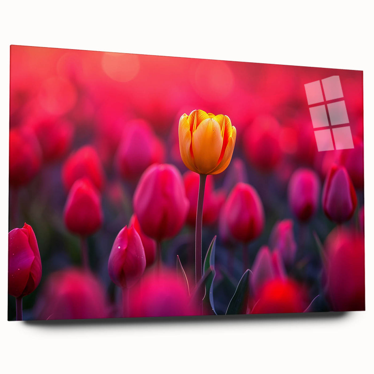 Vibrant botanical tulip wall art design displayed in acrylic glass, showcasing a side view without pins, perfect for home decor and floral enthusiasts.
