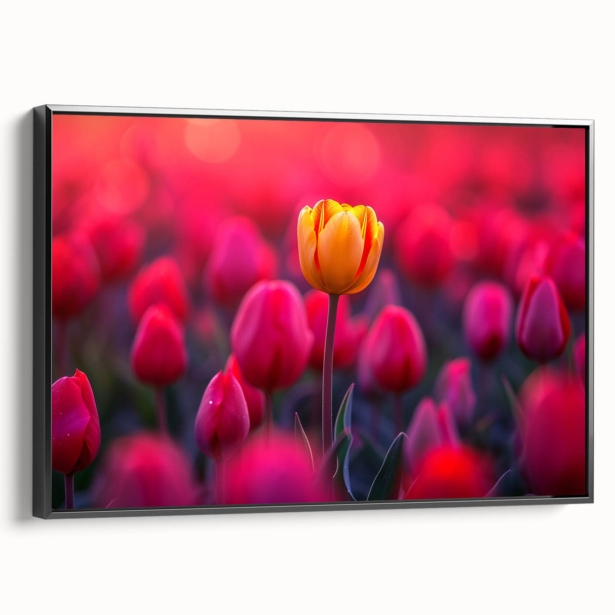 Framed canvas wall art showcasing a vibrant botanical design of tulips in various colors, featuring a sleek black frame and side view perspective, ideal for home decor.