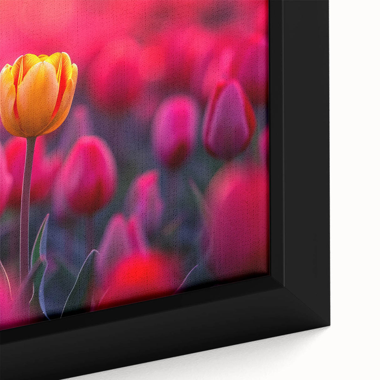 Close-up of a framed canvas featuring a botanical tulip design with vibrant pink and yellow flowers against a soft green background, ideal for home decor.