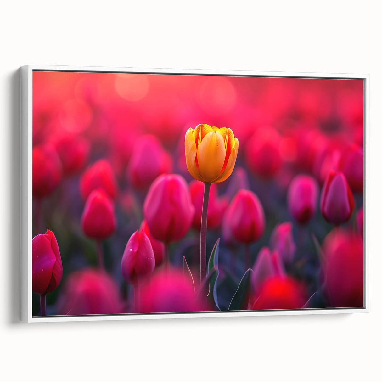 Framed canvas wall art showcasing a botanical tulip design in vibrant colors, set against a white background, highlighting its elegant side view for home decor.