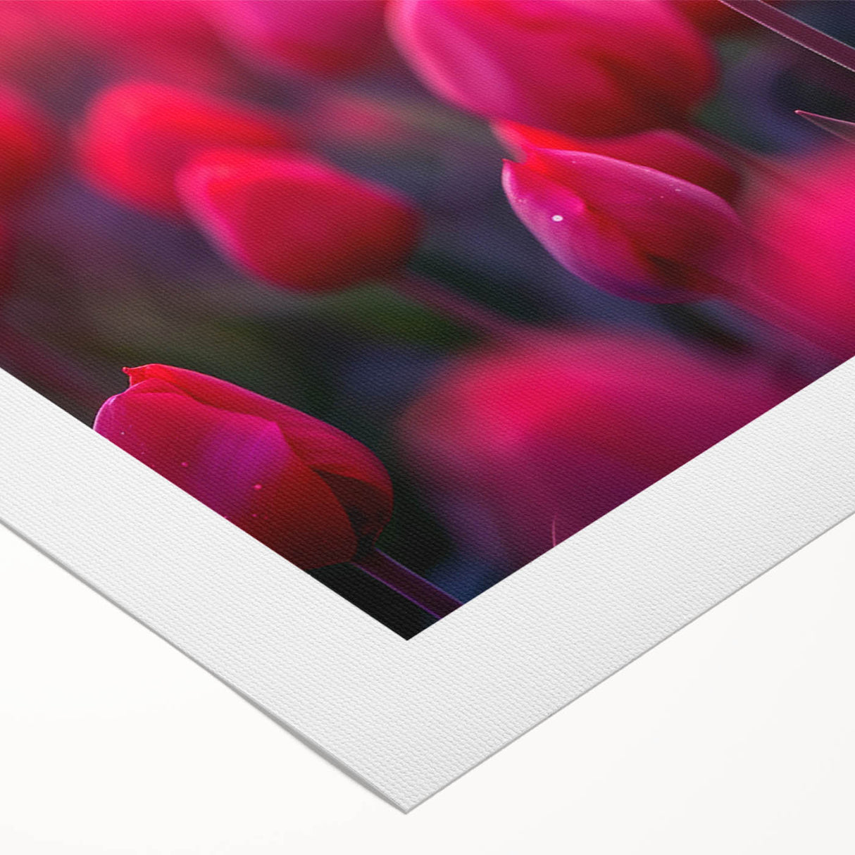 Vibrant botanical wall art featuring a detailed tulip design on rolled canvas, showcasing rich colors and intricate patterns, perfect for home decor.