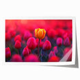 Colorful botanical tulip wall art print showcasing a vibrant floral design on a rolled canvas, ideal for home decor and adding a touch of nature. Perfect for enhancing living spaces with a fresh, artistic vibe.