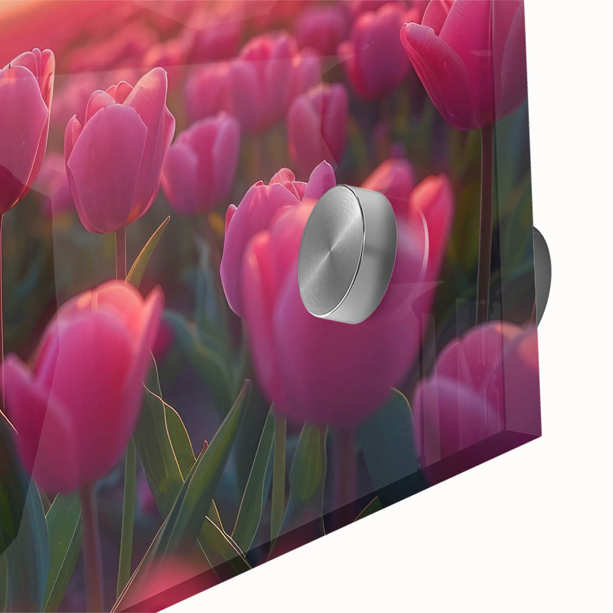 Close-up of a vibrant botanical wall art design showcasing an elegant tulip arrangement, printed on acrylic glass, perfect for modern home decor.