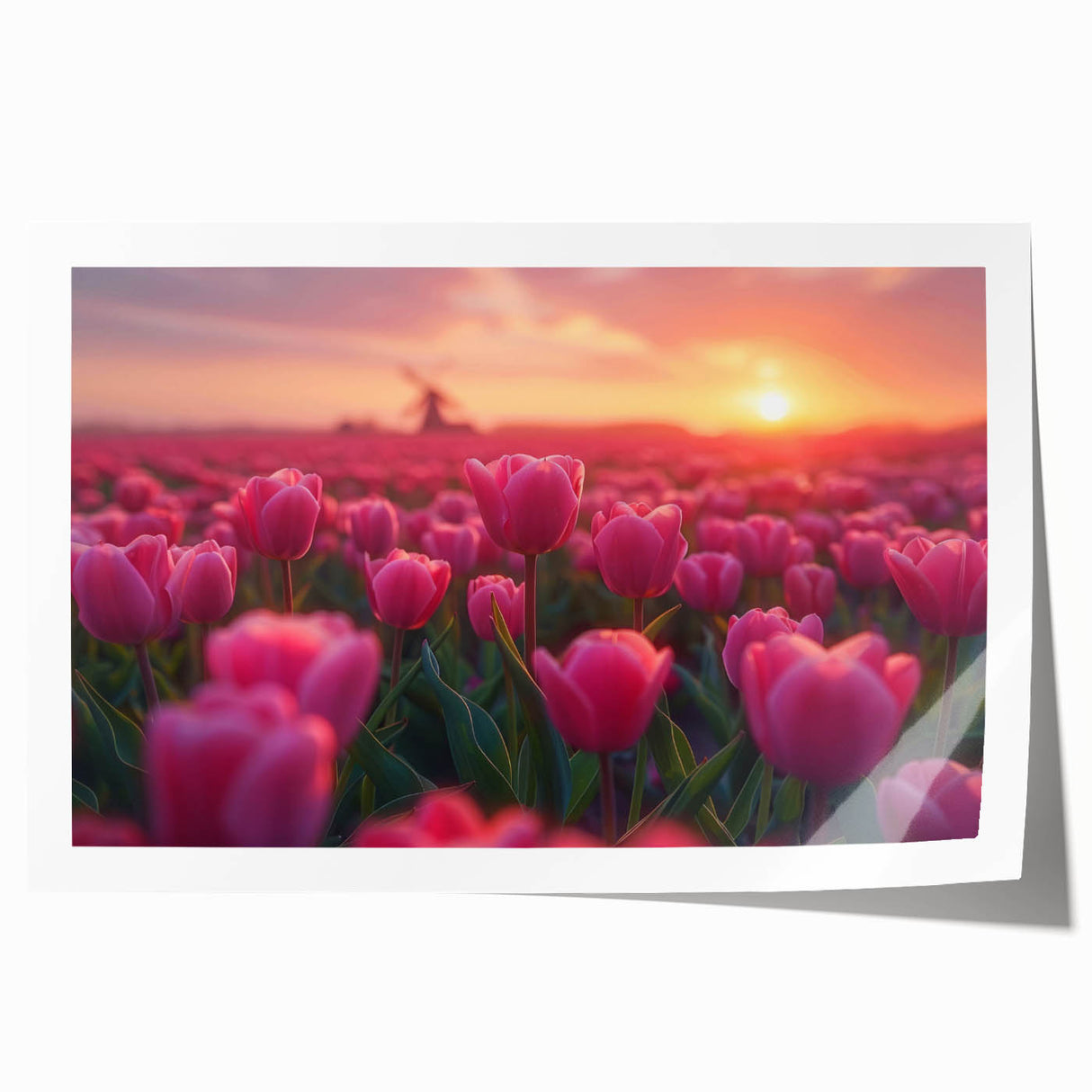 Botanical wall art featuring a vibrant tulip design with rich colors, elegantly rolled for easy display and shipping in a protective cardboard tube. This print adds a touch of nature to any room decor.