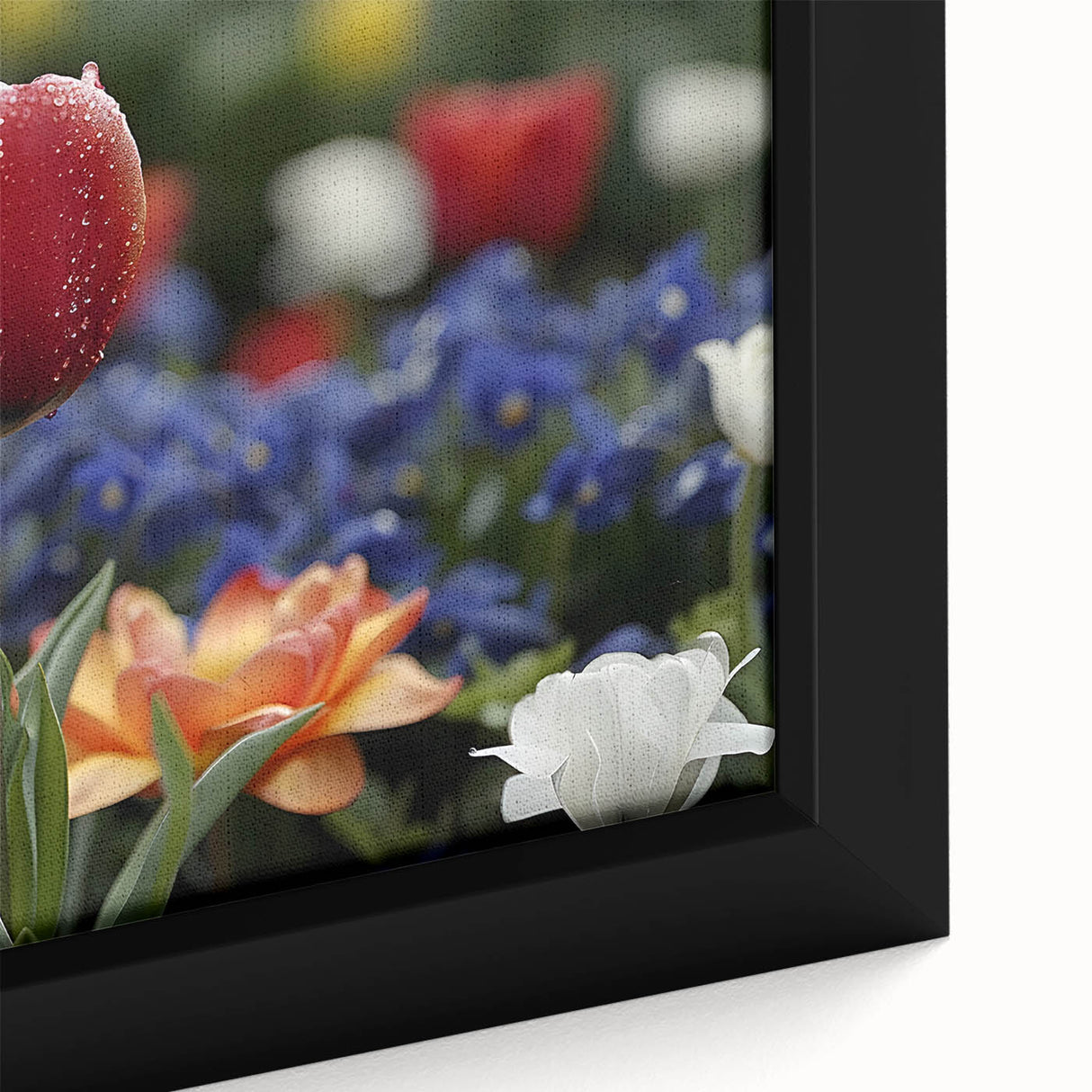 Close-up of a framed botanical wall art piece showcasing vibrant tulip designs on canvas, highlighting rich colors and intricate details, perfect for home decor.