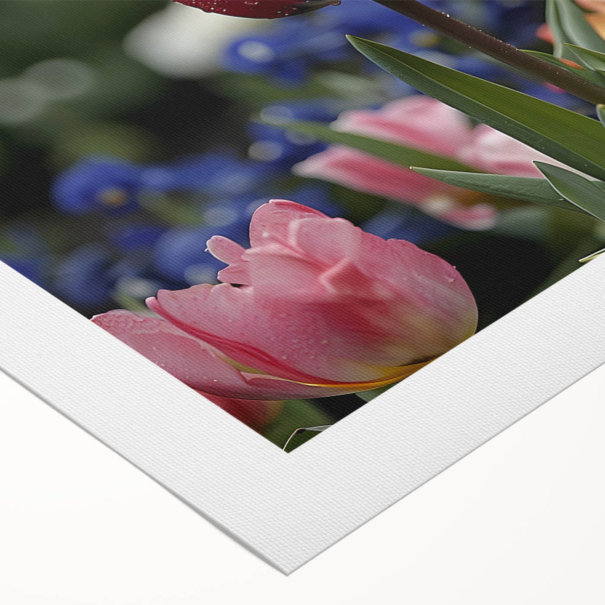 Vibrant rolled canvas artwork featuring a botanical tulip design, showcasing delicate floral details and rich colors, perfect for home decor enhancement.