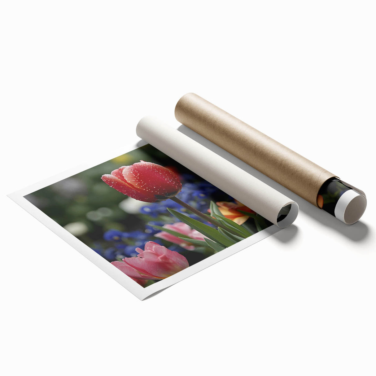Vibrant botanical wall art print showcasing a detailed tulip design, rolled and ready for display, featuring rich colors and intricate floral patterns. Perfect for home decor enthusiasts looking to enhance their space with nature-inspired art.