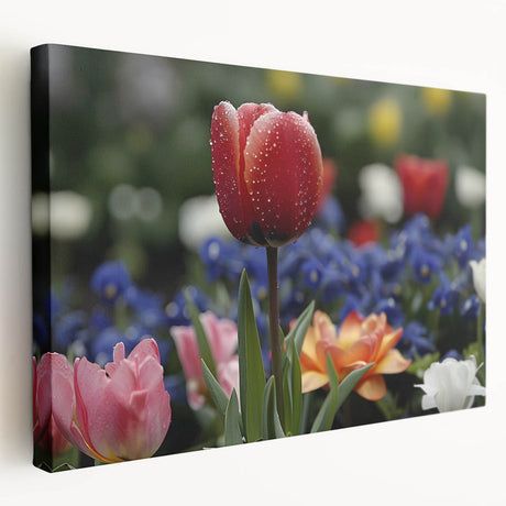 Stretched canvas wall art showcasing a vibrant botanical tulip design in rich colors, ideal for enhancing home decor with a floral theme.