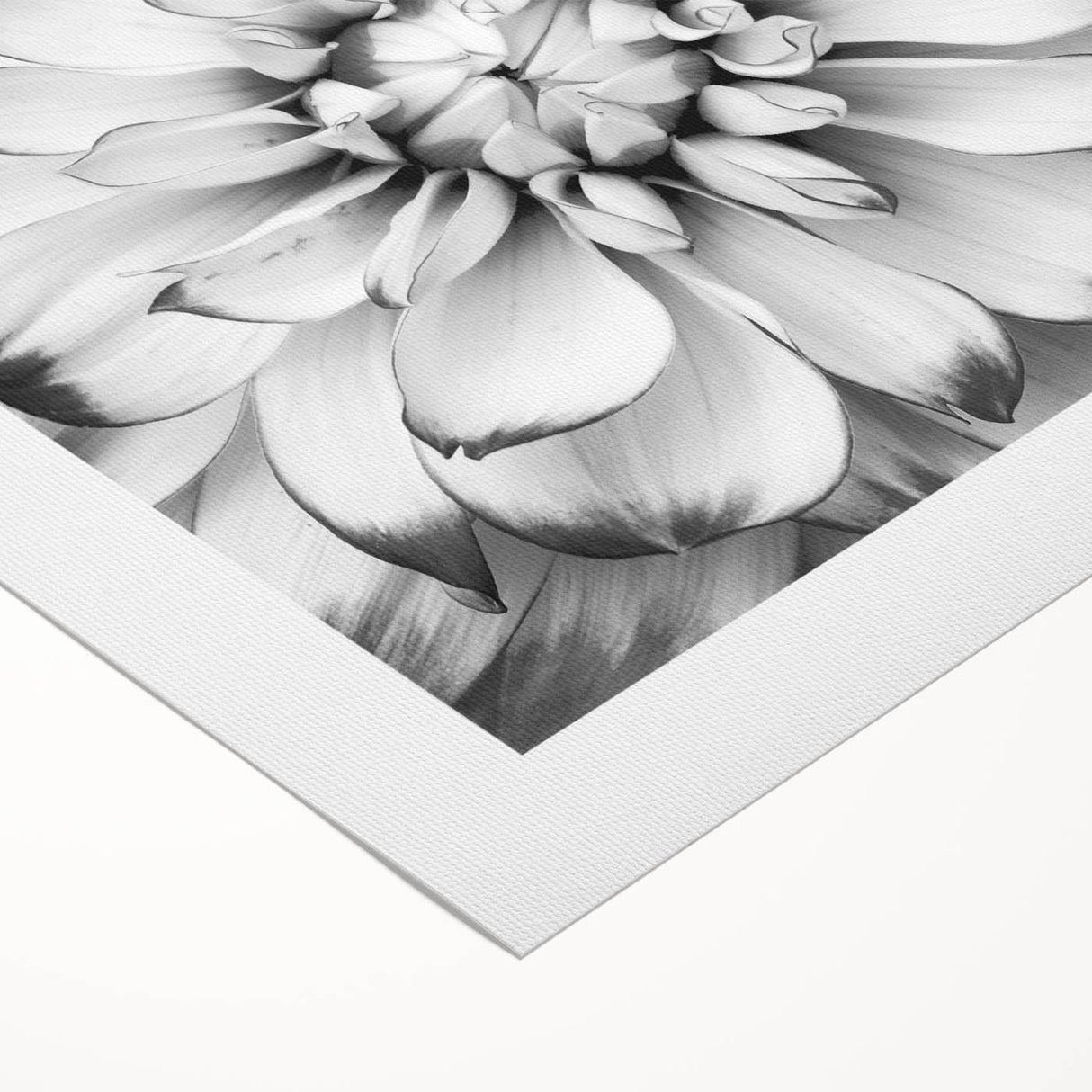 Botanical wall art featuring a vibrant water lily design on rolled canvas, showcasing intricate details and rich colors, perfect for home decor or nature-themed settings. Ideal for adding a touch of elegance to any space.