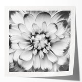Vibrant botanical water lily wall art print showcasing intricate floral details and soft color gradients, perfect for home decor. Ideal for nature enthusiasts.