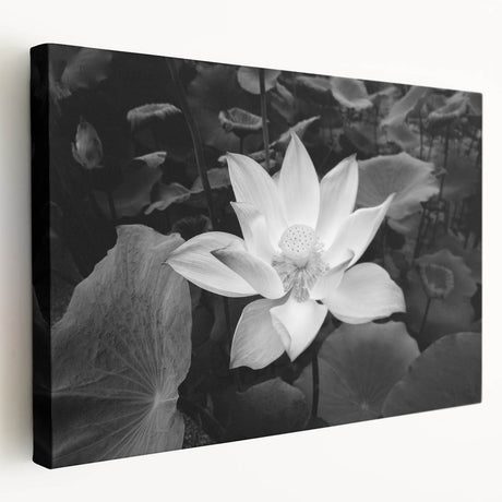 Stretched canvas wall art featuring a vibrant botanical water lily design, showcasing intricate details and rich colors, perfect for enhancing home decor.