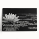 Stretched canvas artwork showcasing a vibrant botanical water lily design, featuring rich colors and intricate details, perfect for home decor or art enthusiasts.