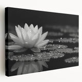Stretched canvas wall art showcasing a vibrant botanical water lily design with rich colors, presented in a side view that highlights its depth and texture. Ideal for nature enthusiasts and home decor.