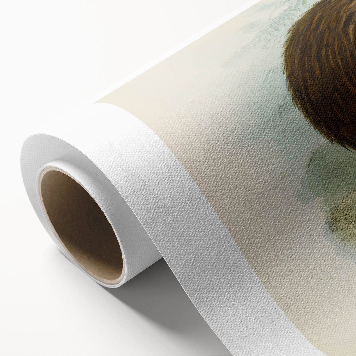Vintage Animal Art: Kiwi Bird Illustration Art Print