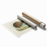 Vintage Animal Art: Kiwi Bird Illustration Art Print