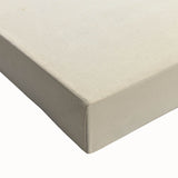 Vintage Animal Art: Kiwi Bird Illustration Art Print