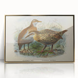 Vintage Animal Art: Bird Illustration Art Print