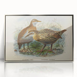 Vintage Animal Art: Bird Illustration Art Print
