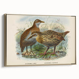 Vintage Animal Art: Bird Illustration Art Print