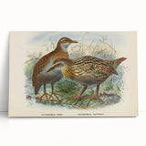 Vintage Animal Art: Bird Illustration Art Print