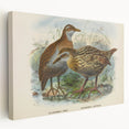 Vintage Animal Art: Bird Illustration Art Print