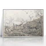 Wildlife Animals Illustration Art Print – Nature-Inspired Wall Decor