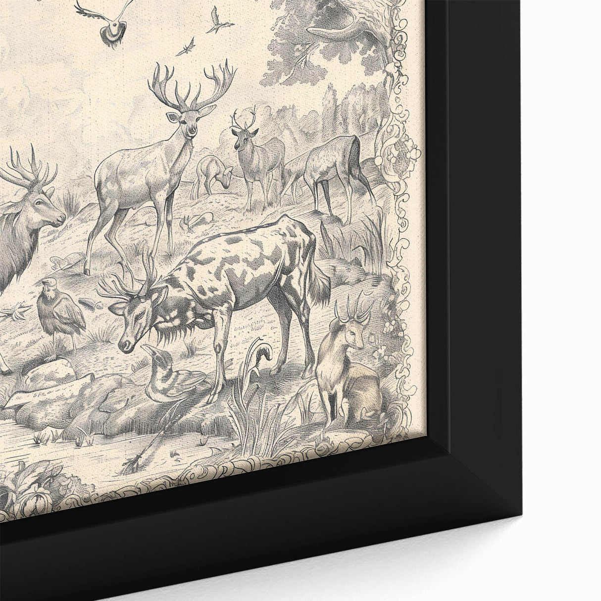 Wildlife Animals Illustration Art Print – Nature-Inspired Wall Decor