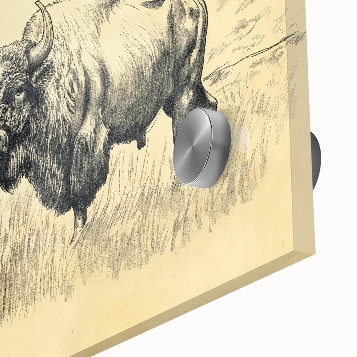 Buffalo in Nature Illustration Art Print – Rustic Animal Wall Decor