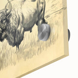 Buffalo in Nature Illustration Art Print – Rustic Animal Wall Decor