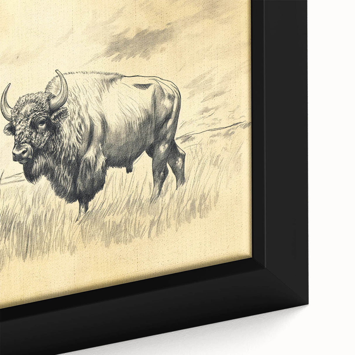 Buffalo in Nature Illustration Art Print – Rustic Animal Wall Decor