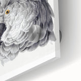 Cockatoo Illustration Art Print – Nature-Inspired Bird Wall Decor
