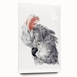 Cockatoo Illustration Art Print – Nature-Inspired Bird Wall Decor