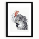 Cockatoo Illustration Art Print – Nature-Inspired Bird Wall Decor