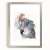 Cockatoo Illustration Art Print – Nature-Inspired Bird Wall Decor