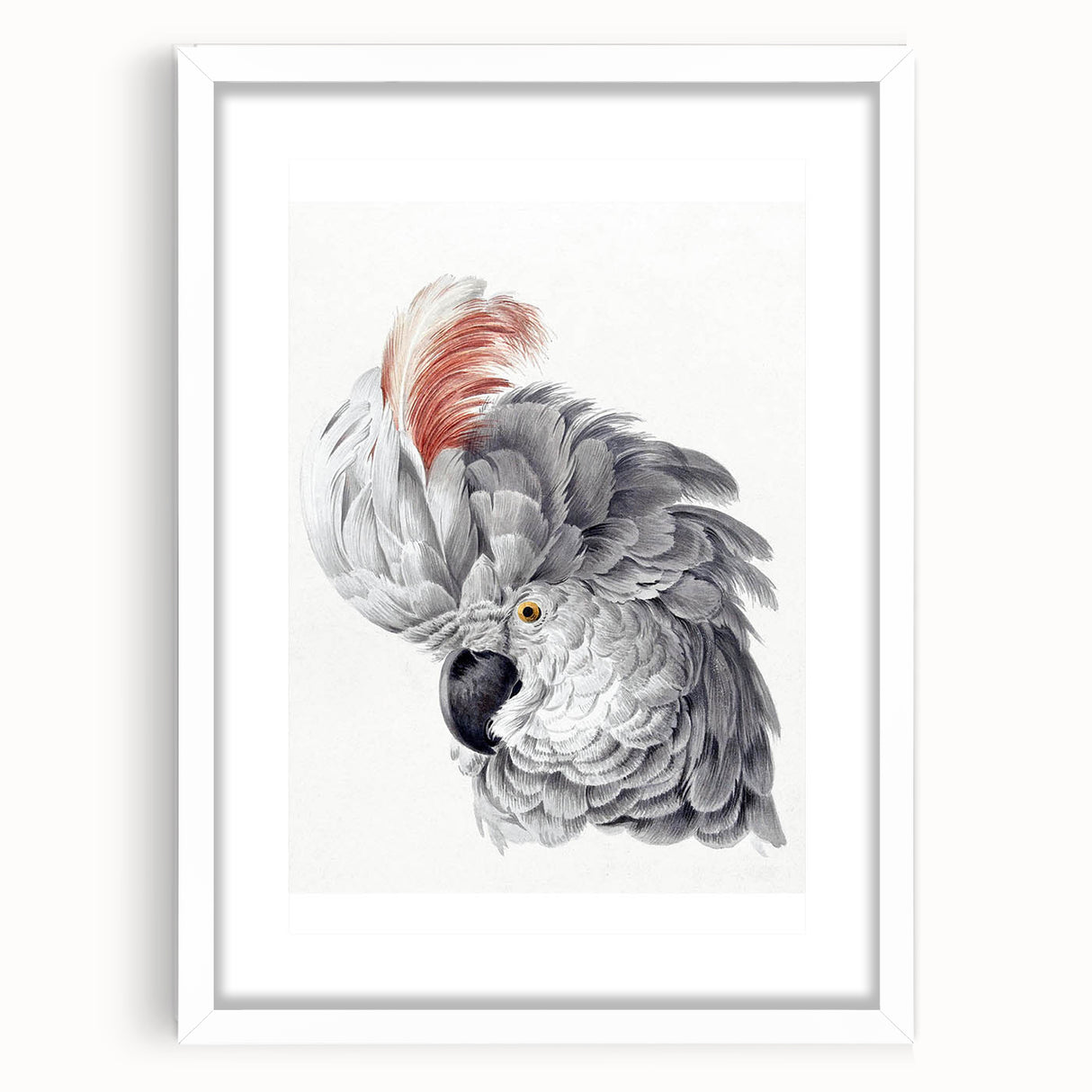 Cockatoo Illustration Art Print – Nature-Inspired Bird Wall Decor