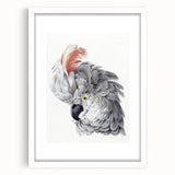 Cockatoo Illustration Art Print – Nature-Inspired Bird Wall Decor