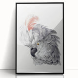 Cockatoo Illustration Art Print – Nature-Inspired Bird Wall Decor