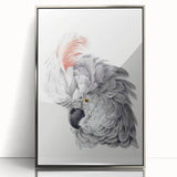 Cockatoo Illustration Art Print – Nature-Inspired Bird Wall Decor