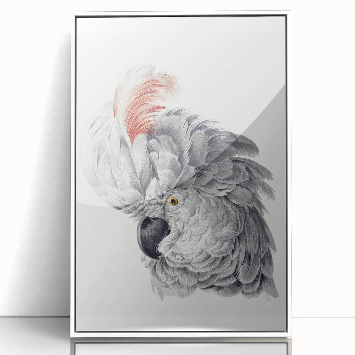 Cockatoo Illustration Art Print – Nature-Inspired Bird Wall Decor