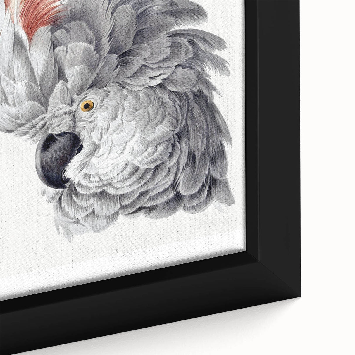 Cockatoo Illustration Art Print – Nature-Inspired Bird Wall Decor